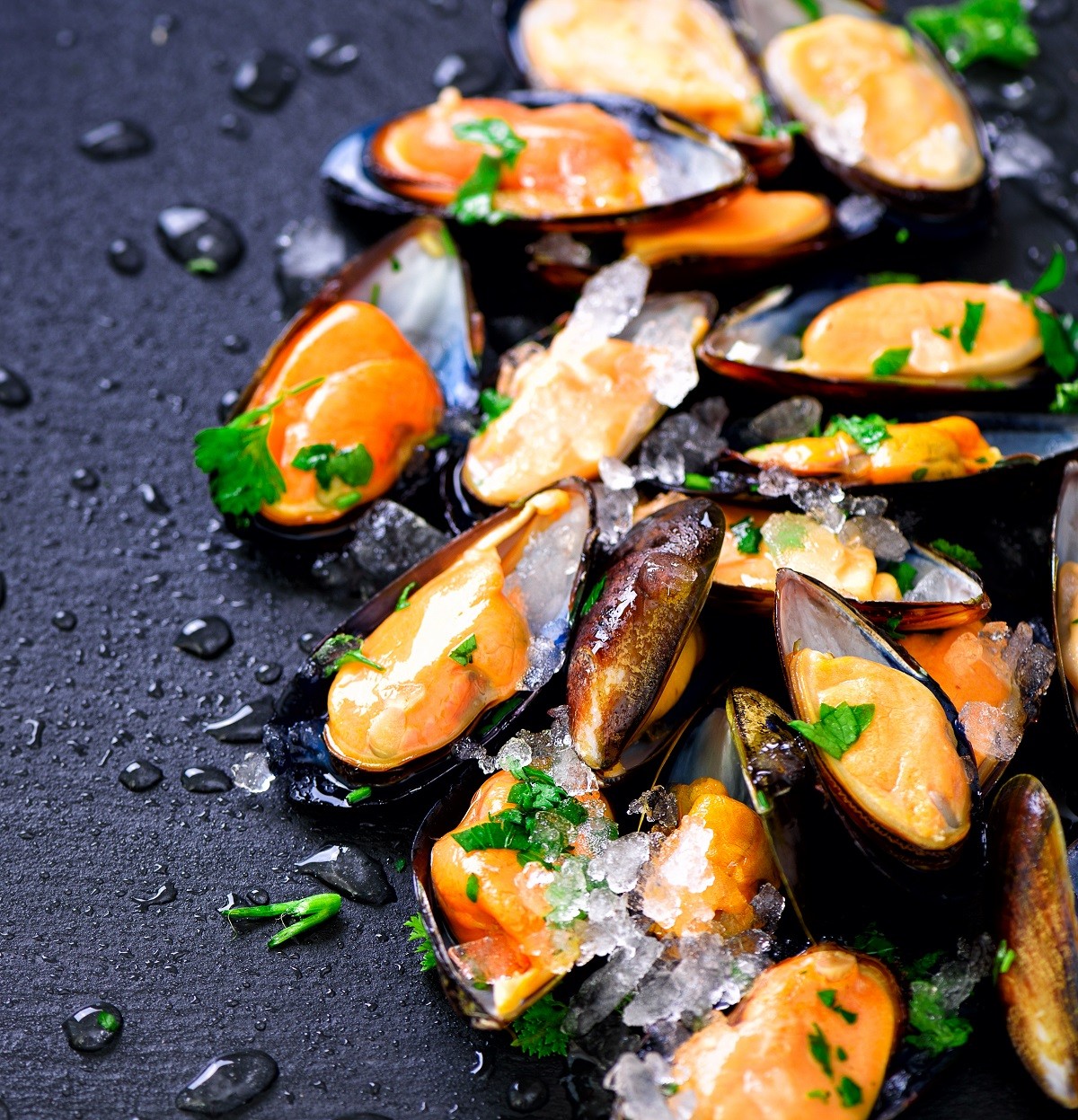 Mussels, molluscs, seaweed, sea plants, ice on old vintage rustic metal background. Top view, copy space