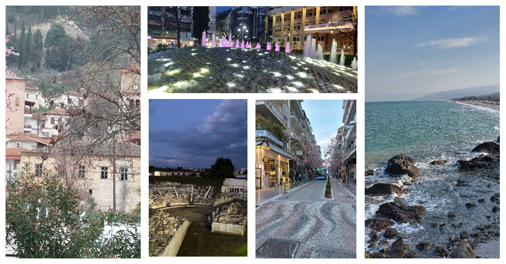 larissa anoigma new1