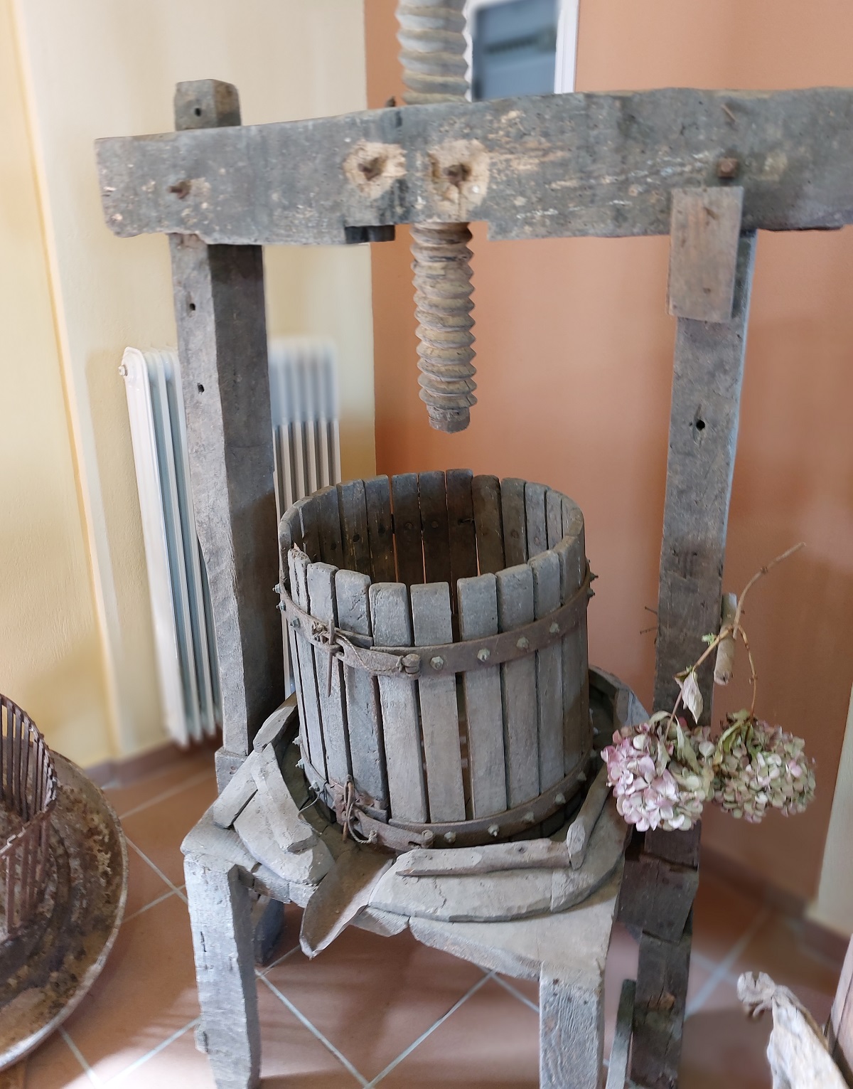 mouseio mesenikola-anoigma