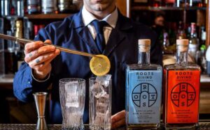 nor_roots-thumb-large copy