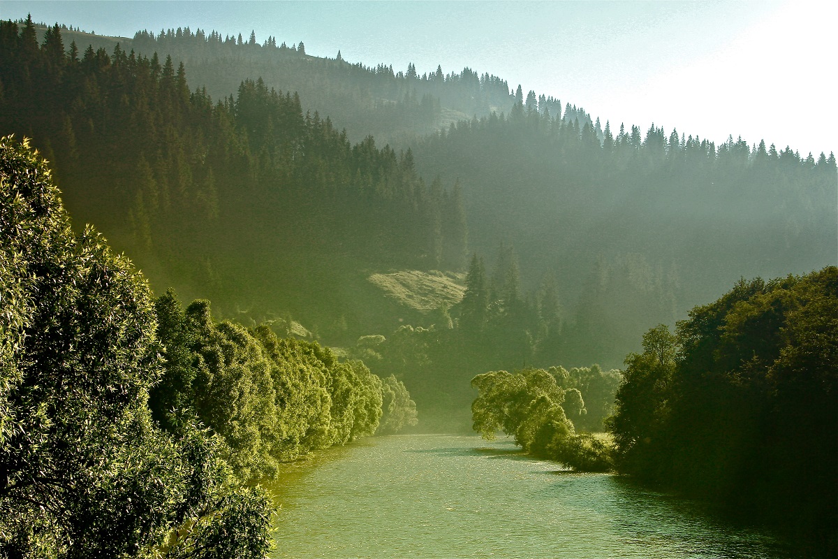 044 – Bucovina – foto Cristina Nichitus Roncea