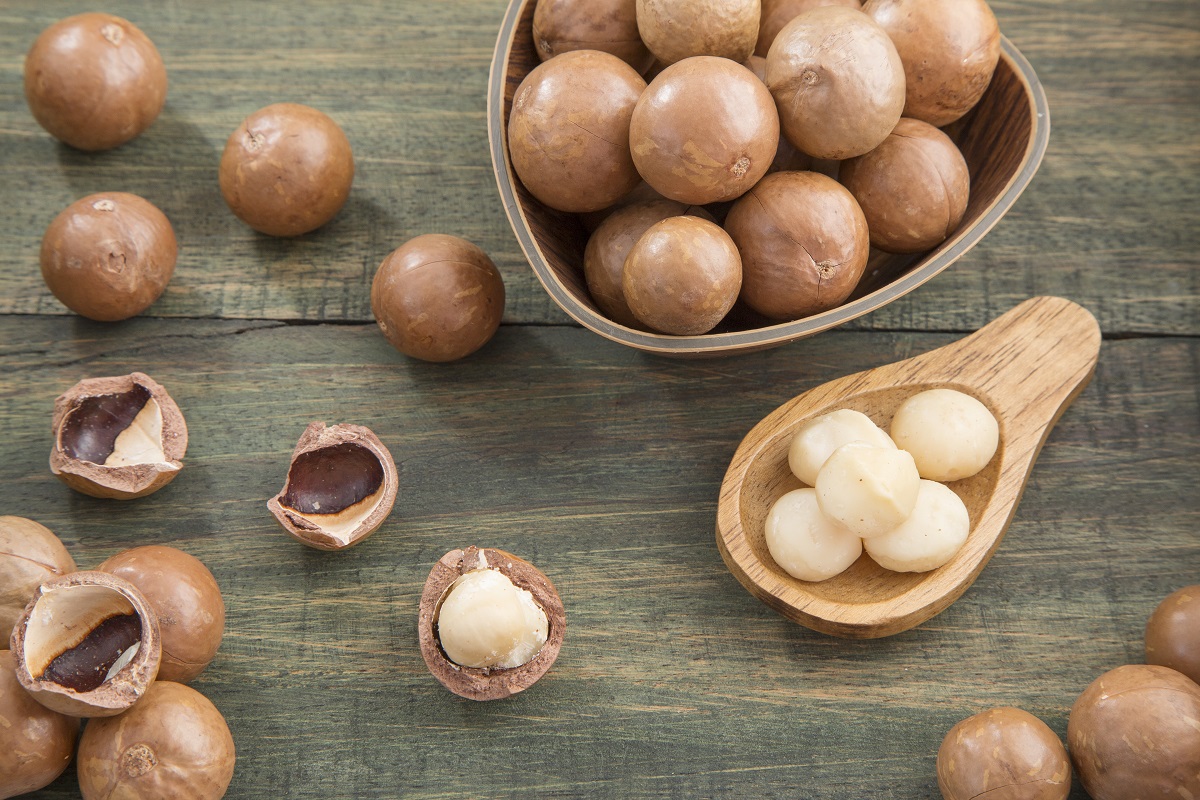 Macadamia nuts – Macadamia integrifolia