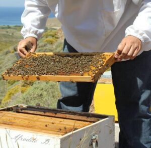 melissokomos anoigma