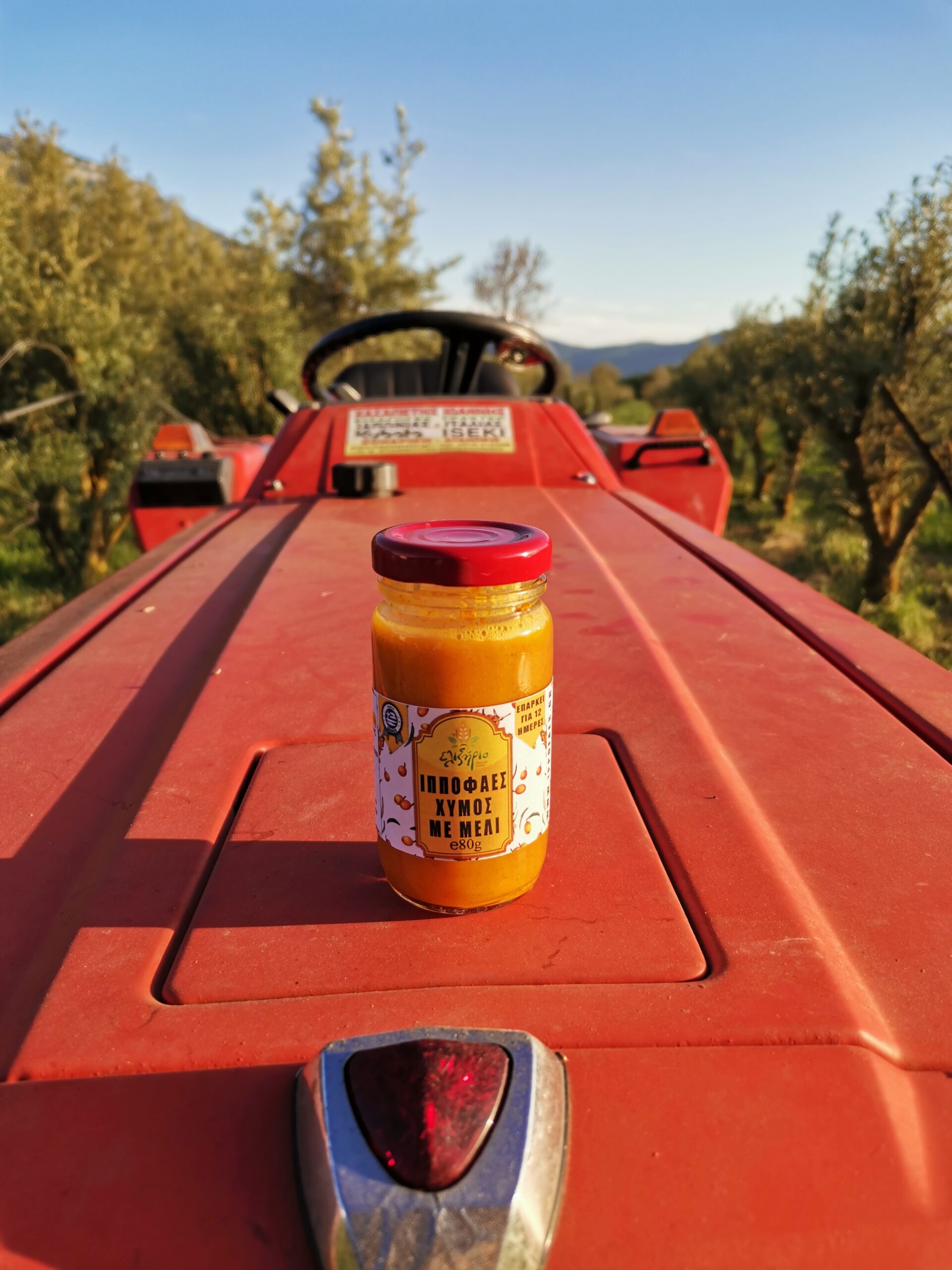 konitsa-ippofaes-philipposbarbas (2)