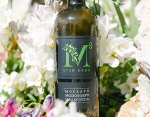 kthma mixalakh diagonismos1