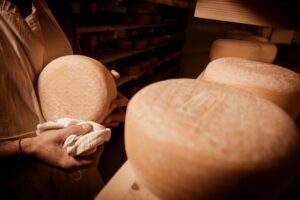 Cheese maker cleaning cheeses in his workshop