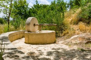5 Μουσεία στην Ελλάδα με πρωταγωνίστρια την ελιά