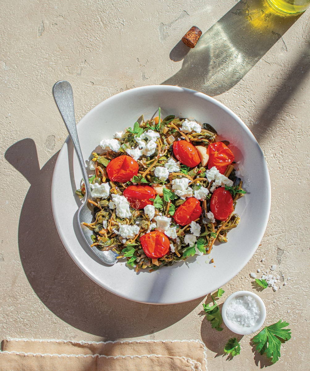 Axnisti_glistrida_anoigma