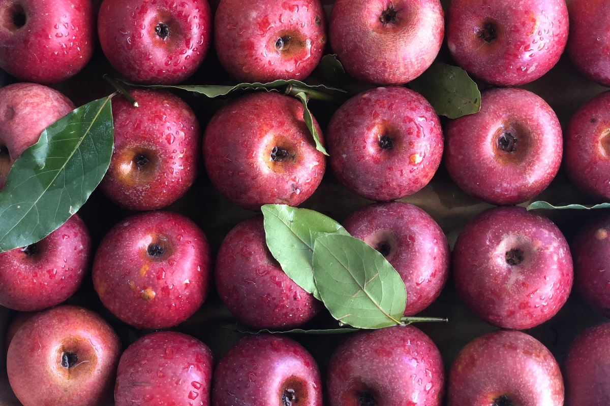 olive-froutalaxanika