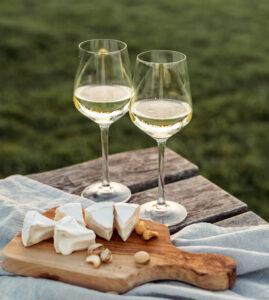 mosxofilera header foto