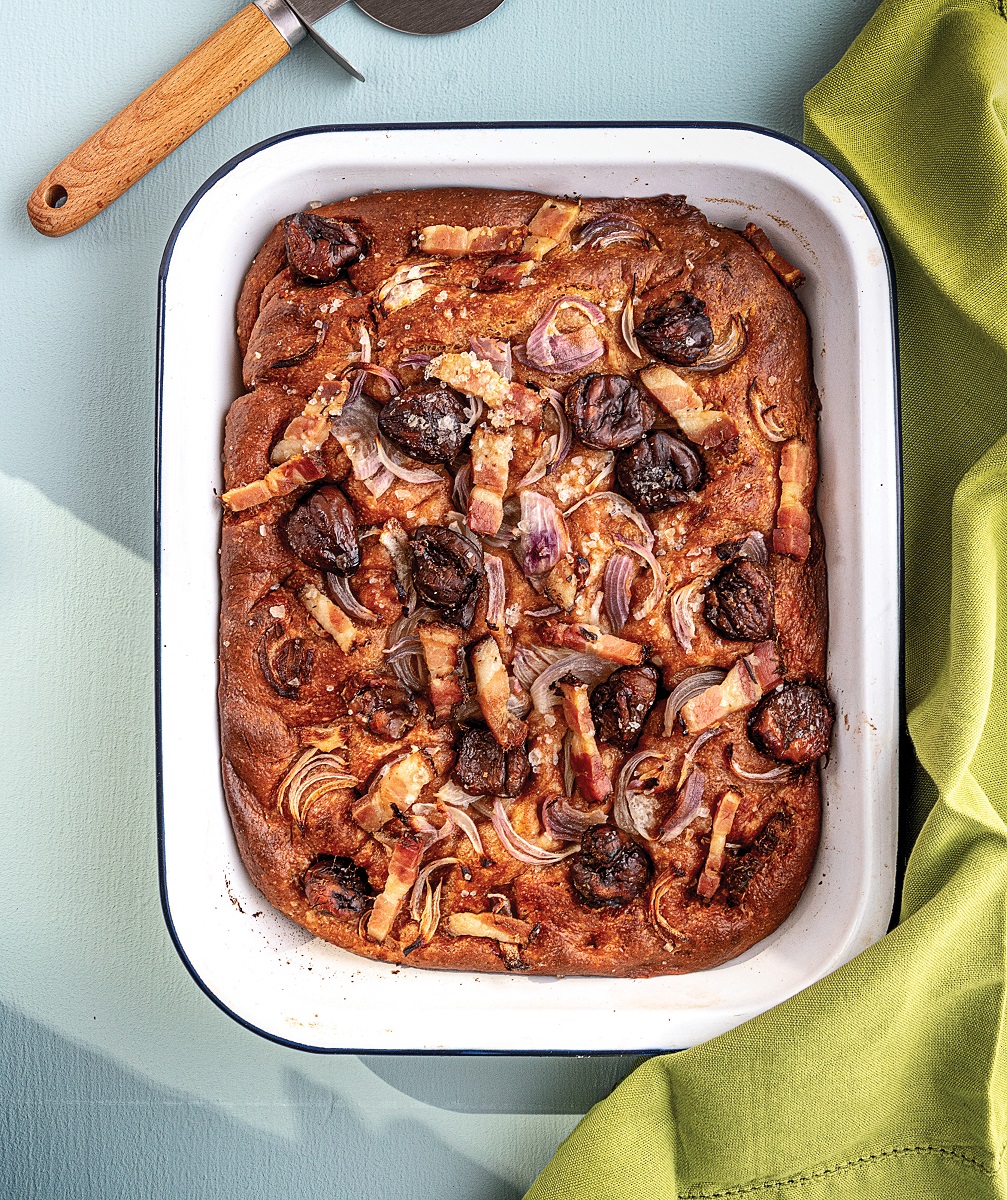 GIKAS_FOKATSIA_mikri