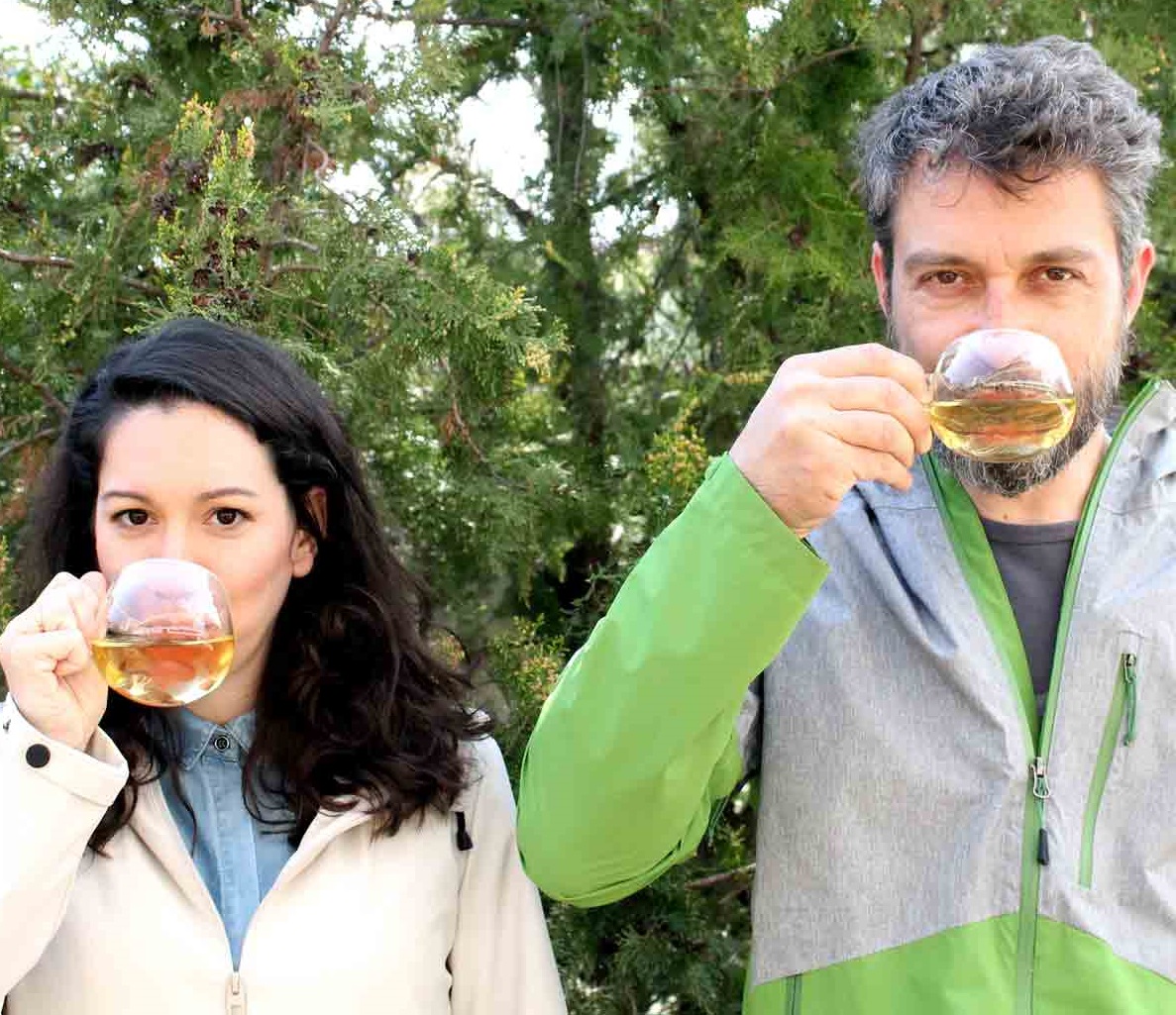 grizoprasino_anoigma