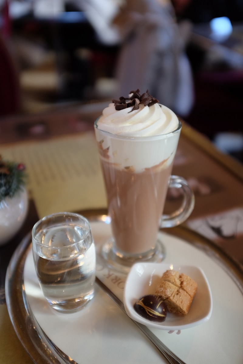 Rich,Hot,Chocolate,With,Whipped,Cream,And,Chocolate,Chips,Served