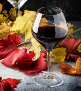 PINOT LIST HEADER OLIVE