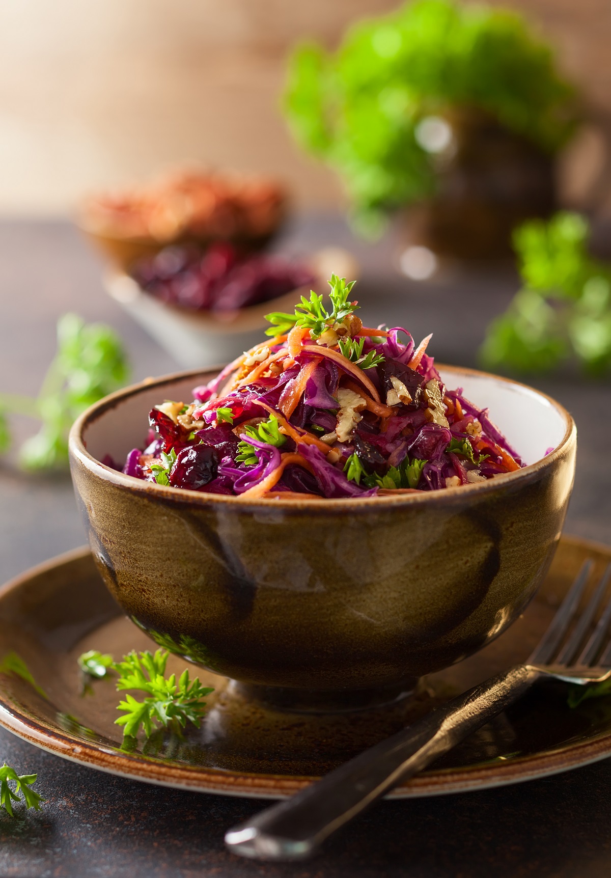 Red,Cabbage,,Carrot,,Apple,Salad,With,Nuts,And,Cranberry.,Coleslaw