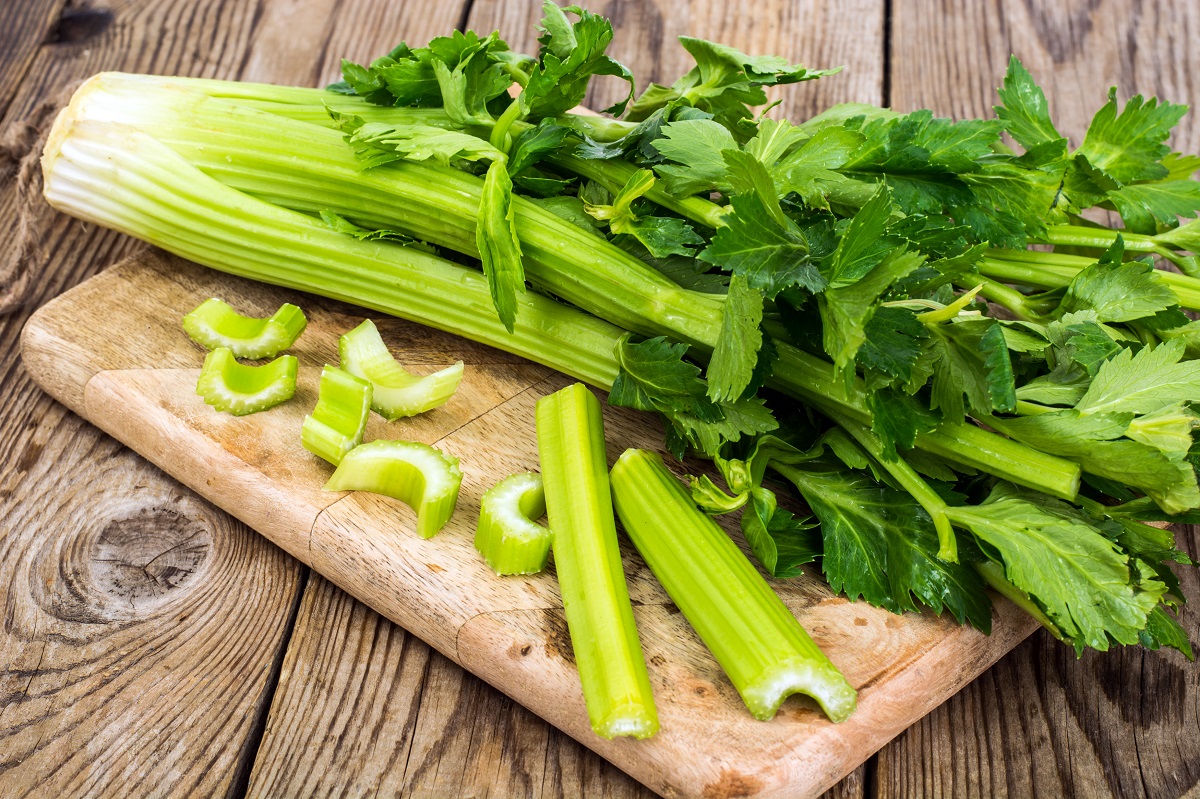 Bunch,Of,Fresh,Celery,Stalk,With,Leaves.,Studio,Photo