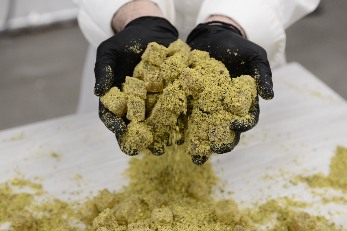 thomas_loukoumia_anoigma