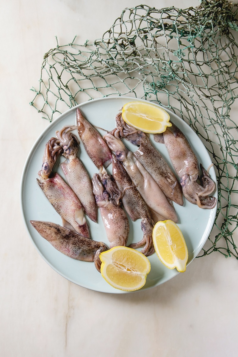 Raw squids calamari
