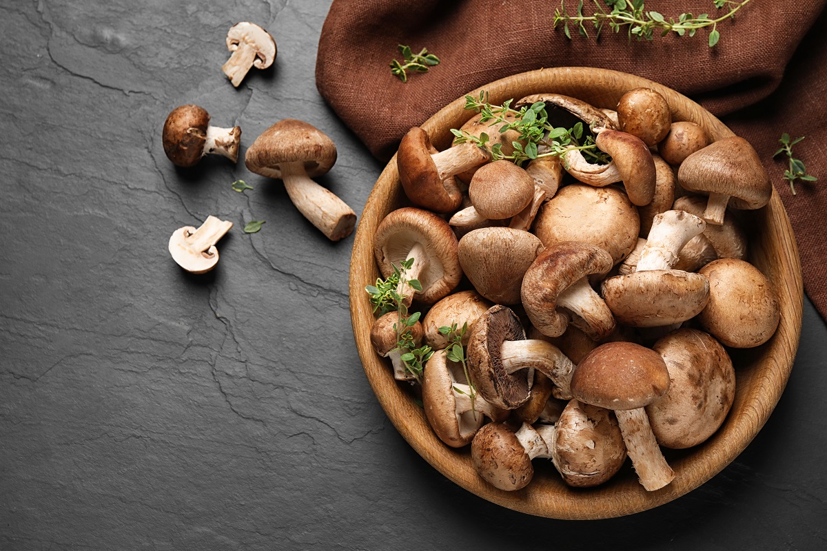 Different,Fresh,Wild,Mushrooms,In,Bowl,On,Black,Background,,Flat