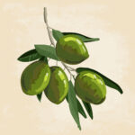 Olive,Brunch,Color,Hand,Painting