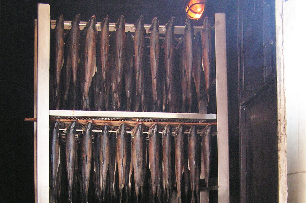 KONICA MINOLTA DIGITAL CAMERA