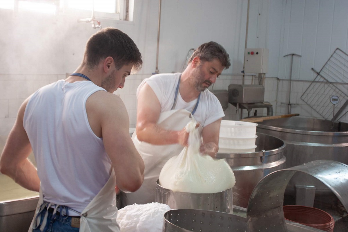 tsitsiridis_paragwgi