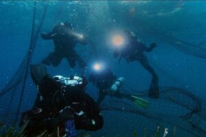 mataroa-message-in-bottle-04