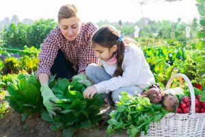 Open farm days 2023: Γίνε αγρότης για μια μέρα! Δες πώς!