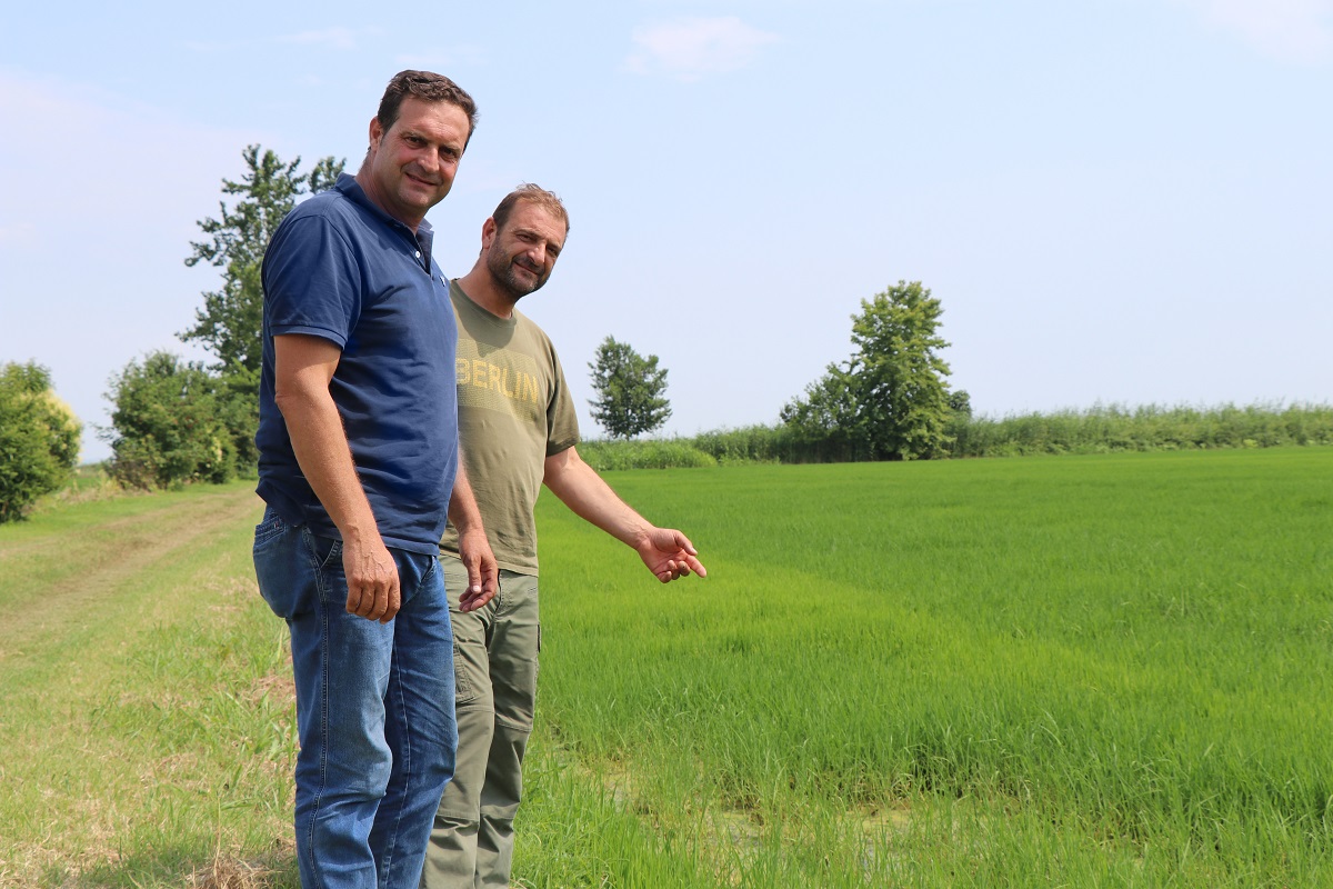 ADERFIA KRAVVA_ALEX_PERIKLHS_anoigma