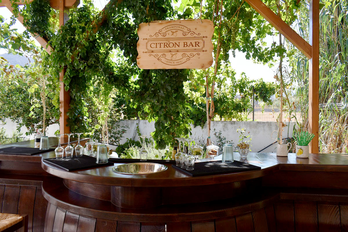 Potopoiia_pompona_anoigma