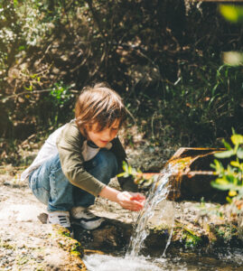 aqua carpatica kids olive header