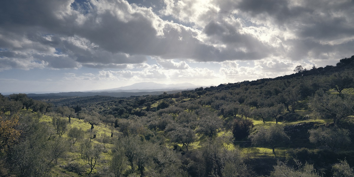 elaionas_messinia_anoigma