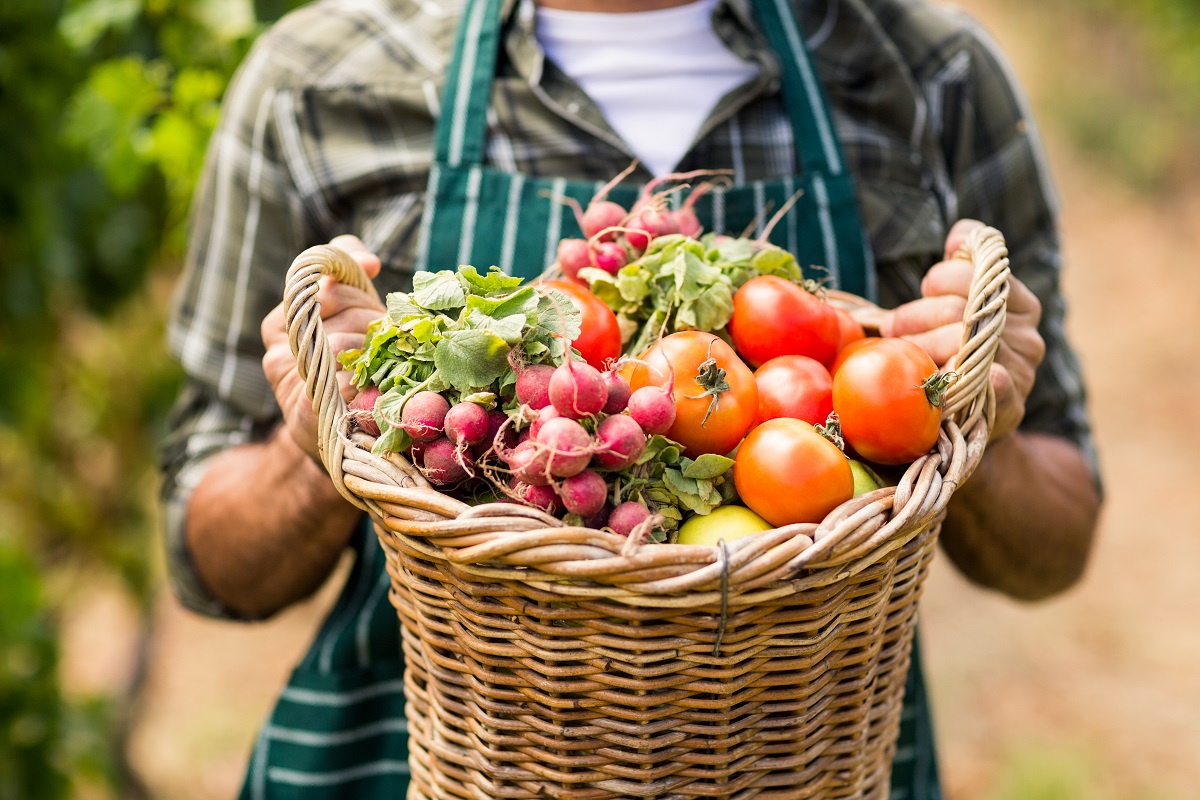 Mid,Section,Of,Farmer,Holding,A,Basket,Of,Vegetables,In