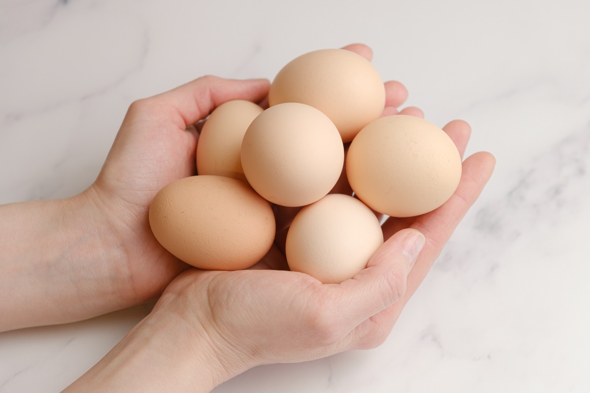Woman,Holds,Large,Chicken,Eggs,In,Her,Palms.,Farm,Chicken