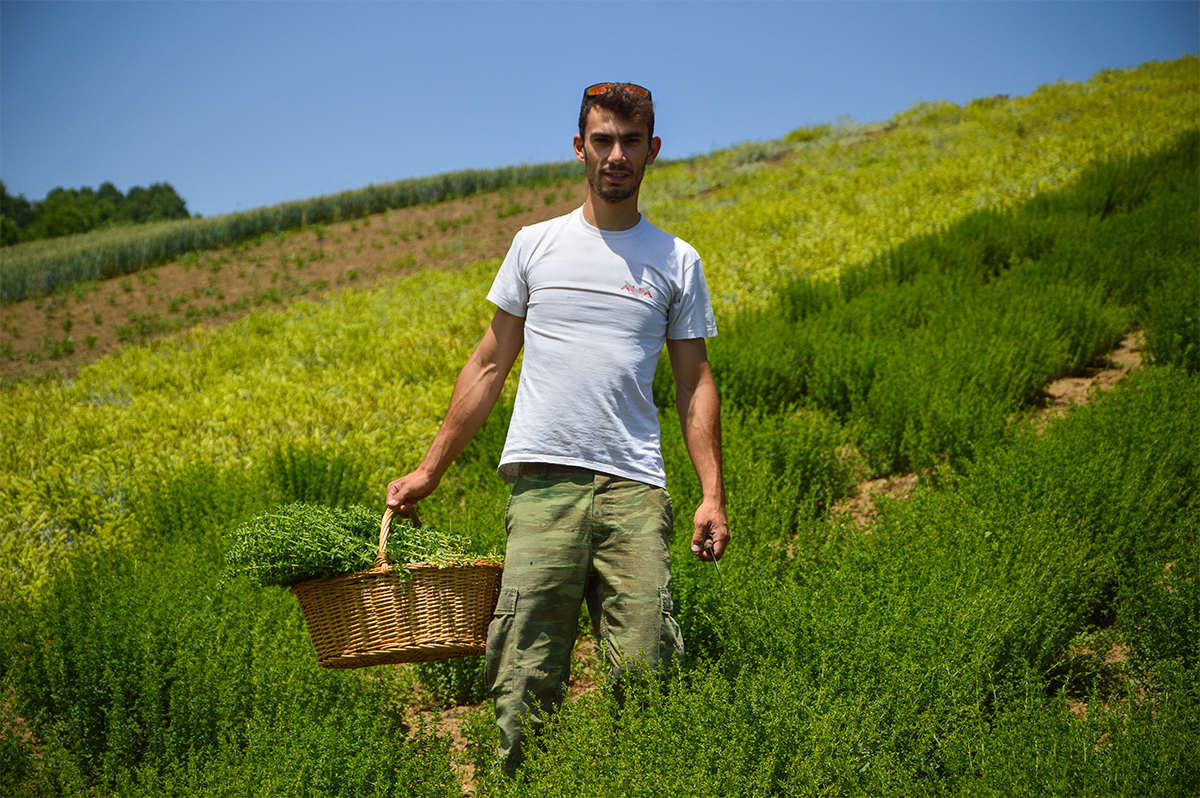 geusi vounou_anoigma