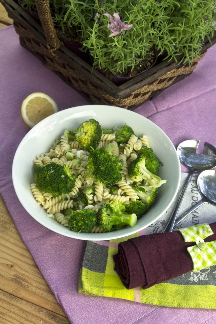 vides_mprokolo_anoigma