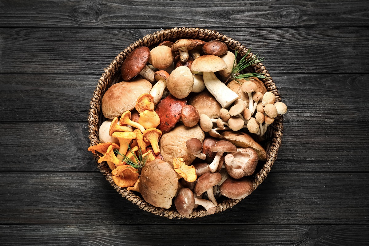 Different,Fresh,Wild,Mushrooms,In,Wicker,Bowl,On,Black,Wooden