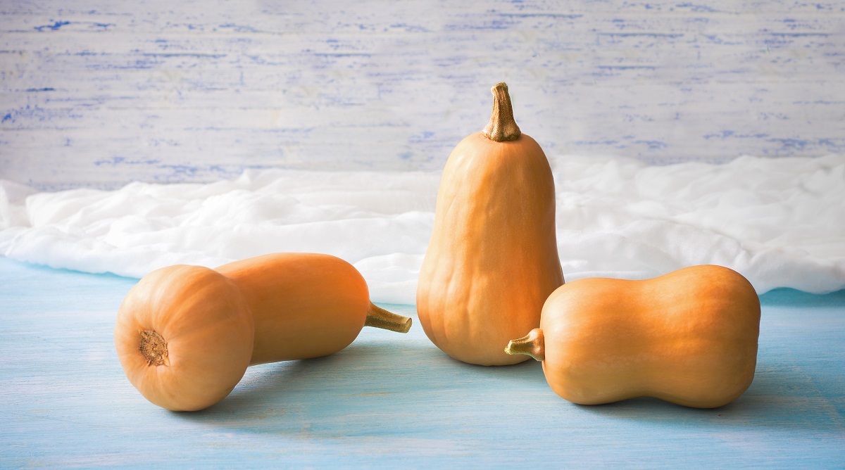 Batternat,Pumpkins,On,A,Sky-blue,Azure,Wooden,Background,And,White