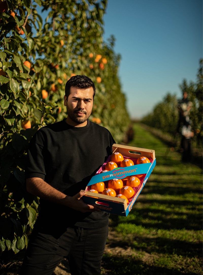 lotoi_rafailidi_anoigma