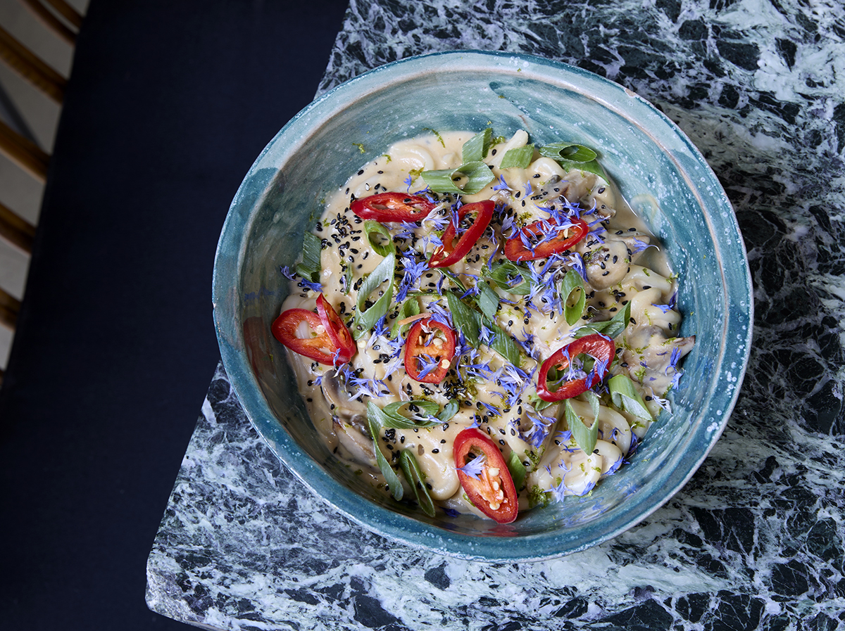 winners piato-anoigma