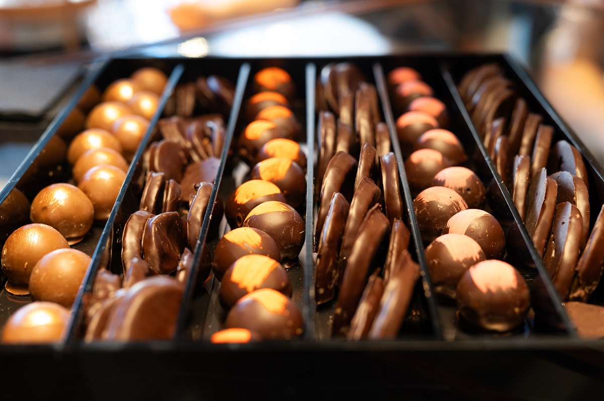 esophy_sokolates_anoigma