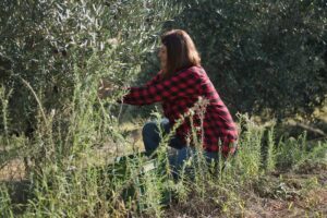 Μια «Αμαζόνα» στον ελαιώνα της Χαλκιδικής
