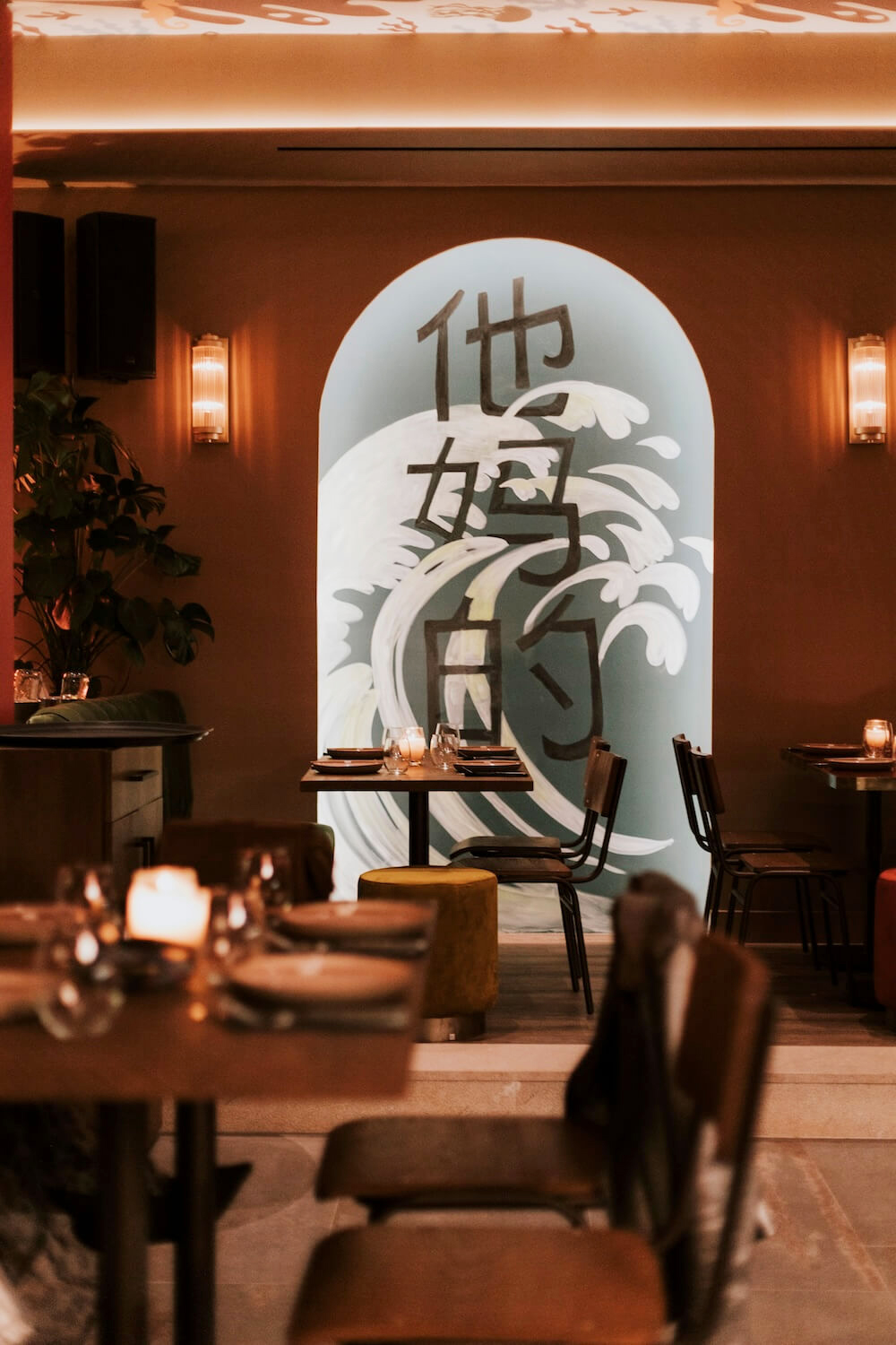 wild_poppies_gallery_3