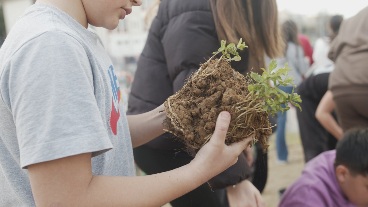 vrosimo_dasos_fiteusi_small