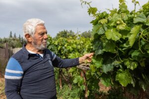Υπάρχουν στ’ αλήθεια οι δημοτικοί λαχανόκηποι;