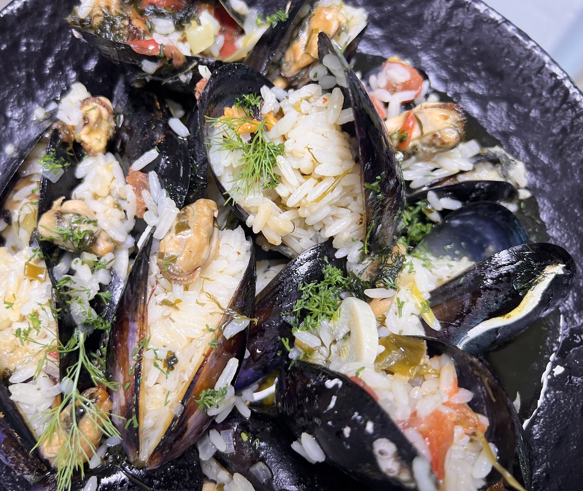 myfopilafo-tziobaras-anoigma-neo