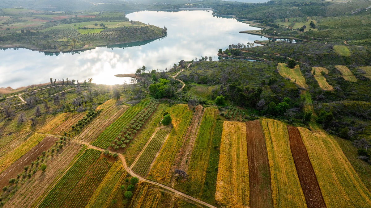 Kampos Marathona_anoigma