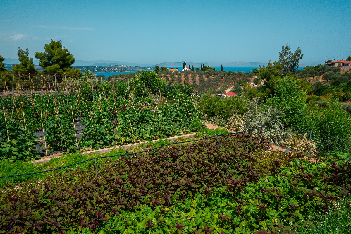 bostani-spetses-anoigma