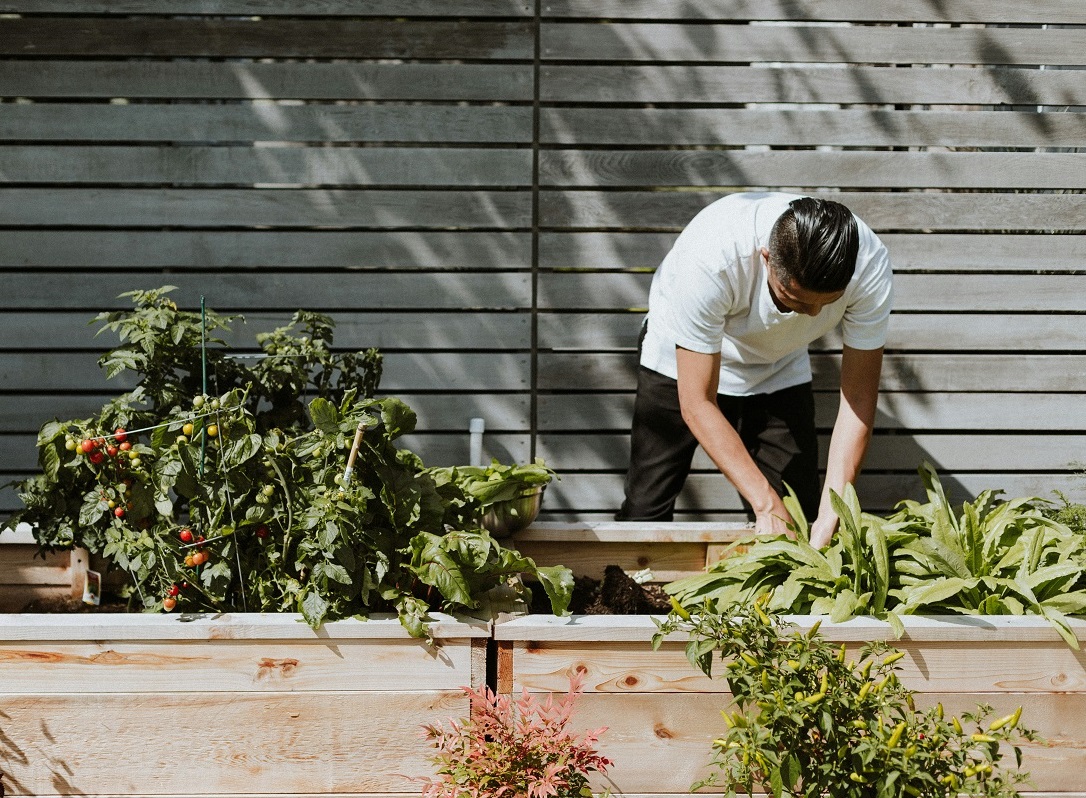 prasino_glastra_anoigma