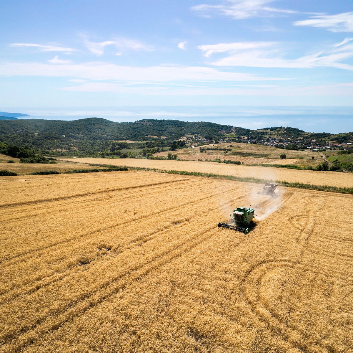 thessalikos_kampos_small